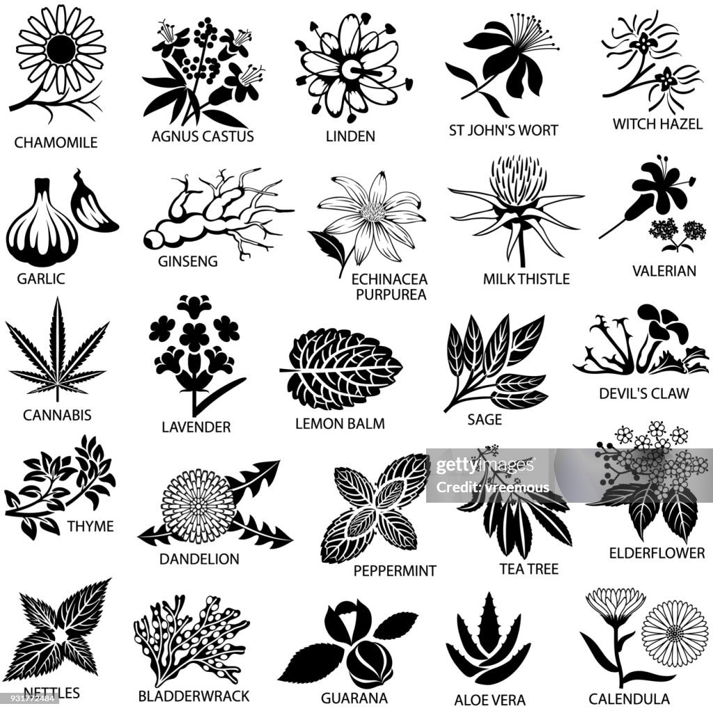 Medicinal Herbs Icons Set