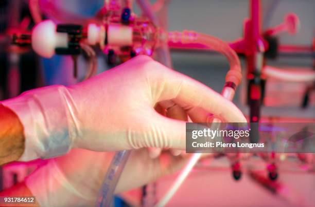 cardiovascular research scientist putting a buffer solution in experiment apparatus - cardiac conduction system stock pictures, royalty-free photos & images