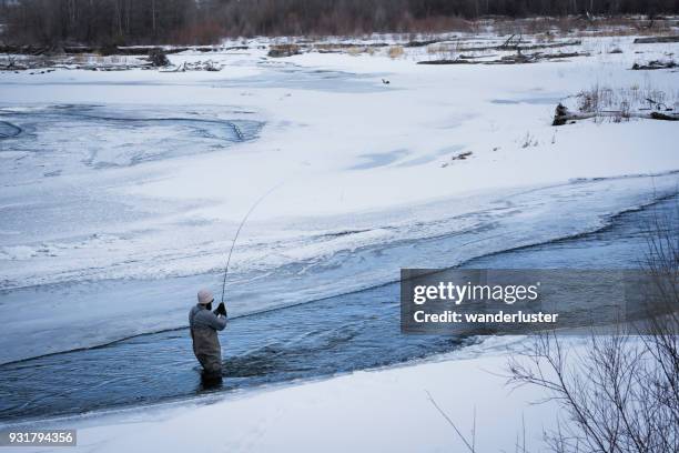 fly-fishing in the gallatin river during winter - bozeman stock pictures, royalty-free photos & images