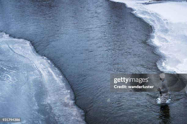 man wades through gallatin river and goes fly-fishing in winter - bozeman stock pictures, royalty-free photos & images