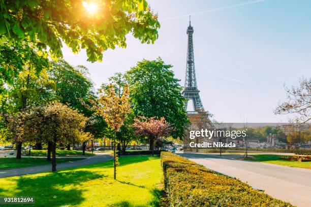 eiffel tower in springtime, paris, france - paris summer stock pictures, royalty-free photos & images