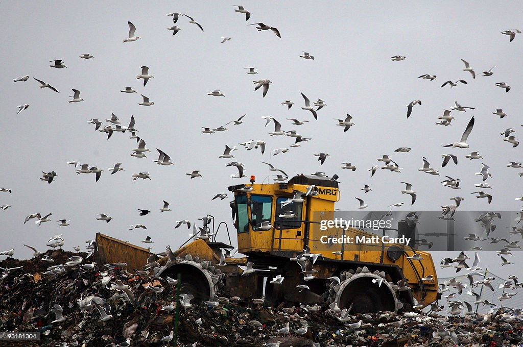 Climate Change And Global Pollution To Be Discussed At Copenhagen Summit