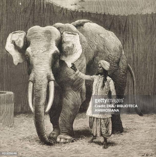 Toung Taloung with his Burmese attendant in Jumbo's house at the zoological gardens, Mr Barnum's white Burmese elephant Toung Taloung, London,...
