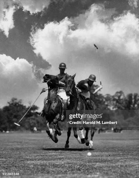 Polo players playing polo