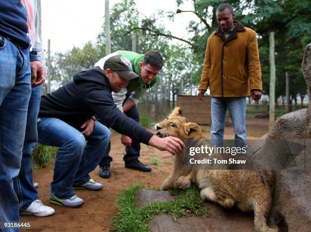 Matt Prior and Kevin Pietersen of England stroke a lion cub during a team visit to the Johannesburg Lion Park on November 18, 2009 in Johannesburg,...