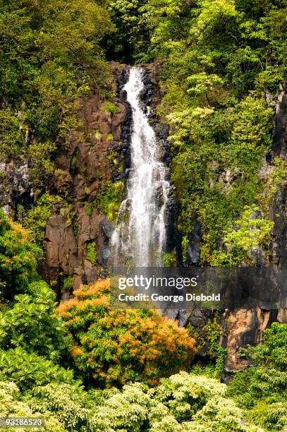 hawaiian waterfall - hawaiian waterfalls 個照片及圖片檔