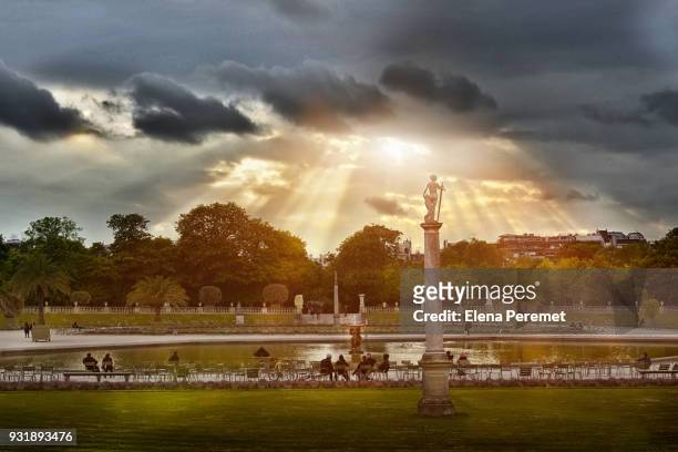 sunset in the luxembourg garden - jardin du luxembourg photos et images de collection