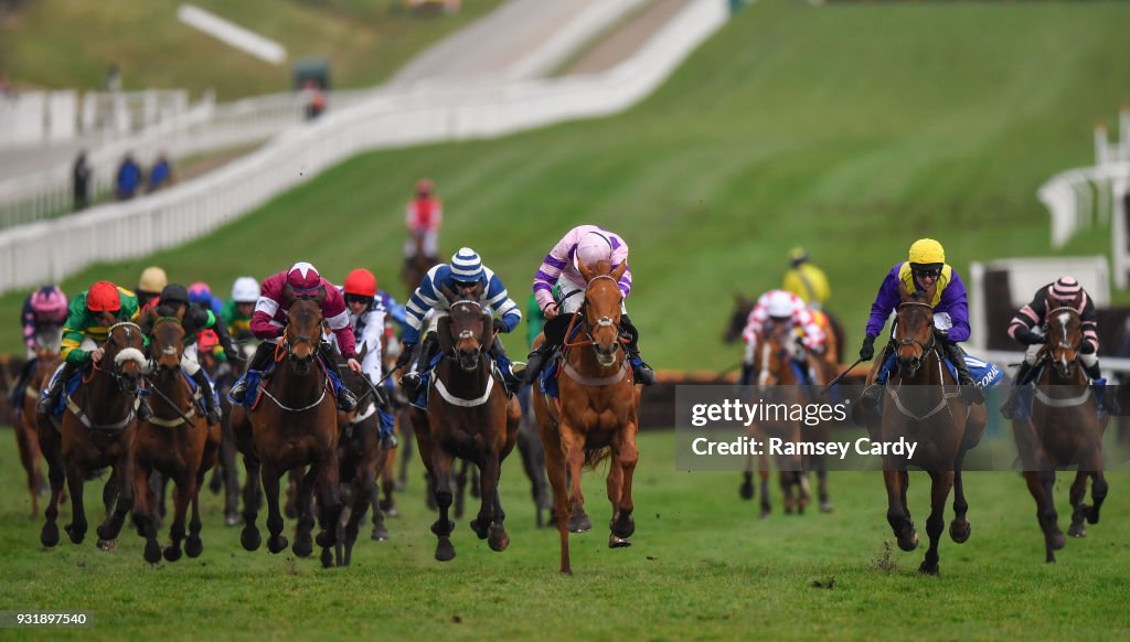 Cheltenham Festival - Ladies Day