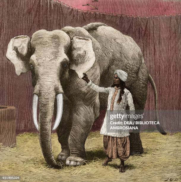 Toung Taloung with his Burmese attendant in Jumbo's house at the zoological gardens, Mr Barnum's white Burmese elephant Toung Taloung, London,...