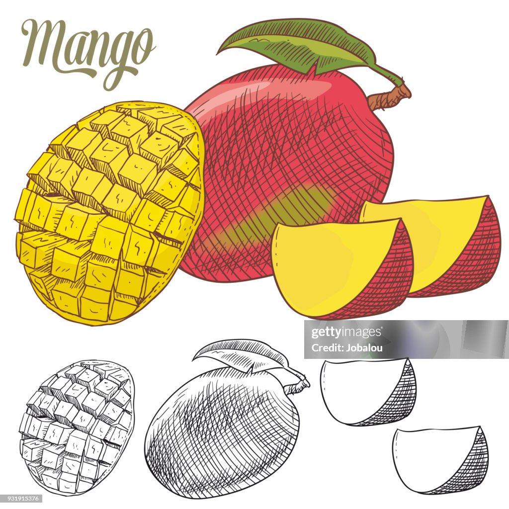 Mango bunte Doodle