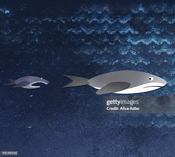 a small fish chasing a shark - food chain stock-grafiken, -clipart, -cartoons und -symbole