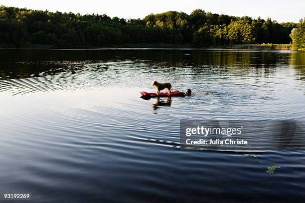 a man pushing a dog on a pool raft in a lake - bogensee stock pictures, royalty-free photos & images