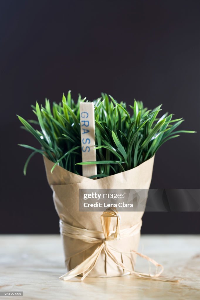 Wheatgrass wrapped in butcher paper