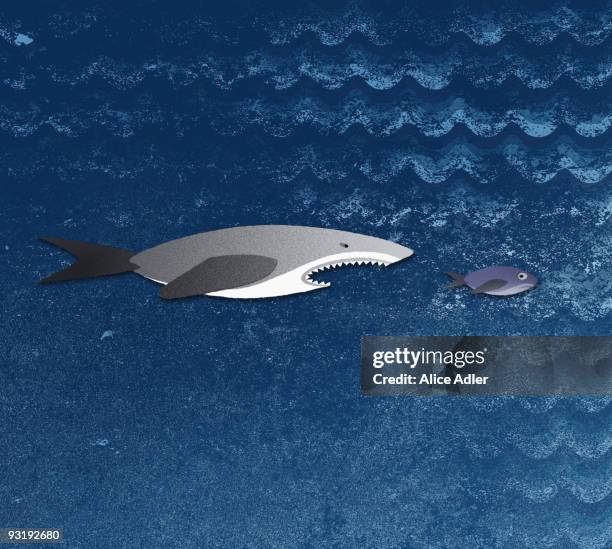 Fish Chasing Fish Chasing Shark Photos and Premium High Res Pictures - Getty Images