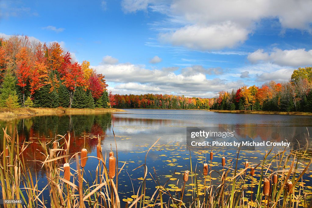 Autumn Magic