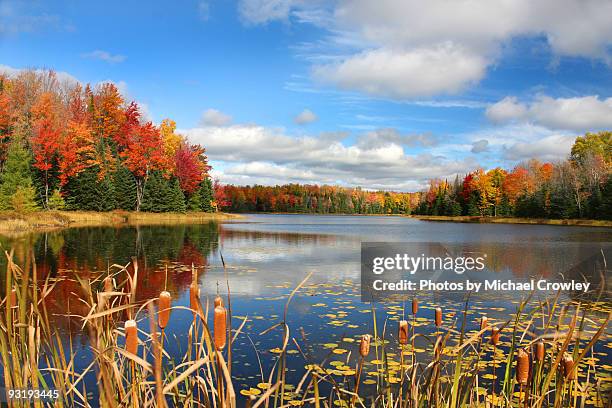 autumn magic - autumn lake stock pictures, royalty-free photos & images