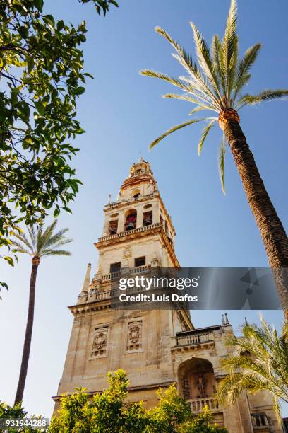 cordoba mosque bell tower - cordoba spain stockfoto's en -beelden