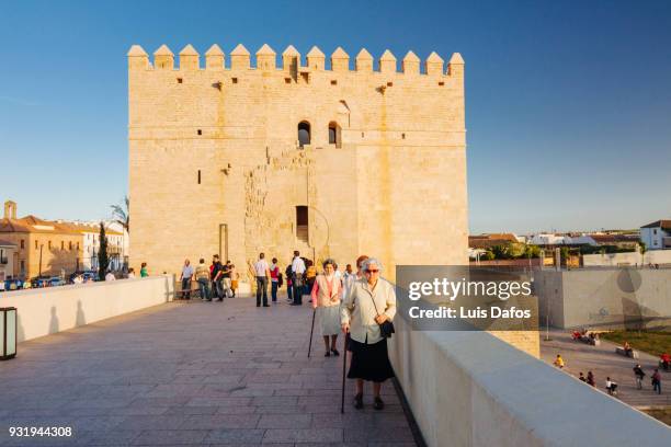 la calahorra tower on the roman bridge - puente romano stock pictures, royalty-free photos & images