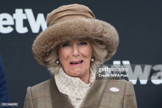 Camilla, Duchess of Cornwall Honorary Member of the Jockey Club, attends the second day of The Festival, Ladies Day at Cheltenham Racecourse on March...