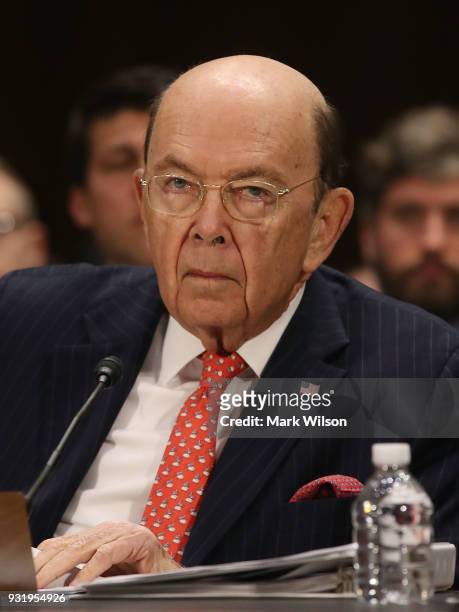 Commerce Secretary Wilbur Ross, appears before the Senate Commerce, Science and Transportation Committee, on March 14, 2018 in Washington, DC. The...