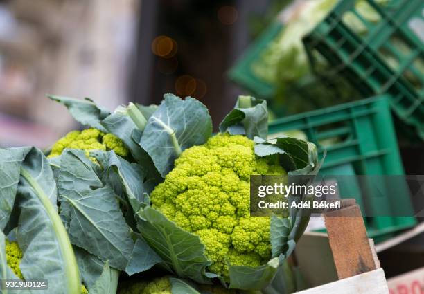 romanesco cauliflower at the market (bari, italy) - chou romanesco stock pictures, royalty-free photos & images