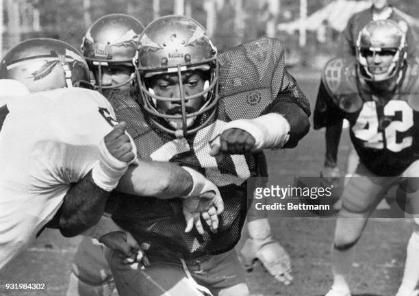 Florida State University All American none guard Ron Simmons works on position and blocking during a team practice at Tropical Park. The undefeated...