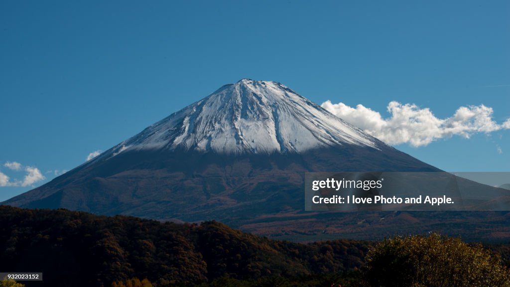 Fuji scenery at Lake Saiko