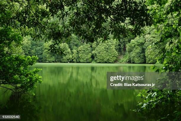 green forested lake reflections - katsouras stock-fotos und bilder