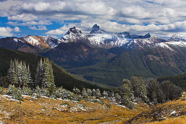 beartooth mountain vista - absaroka beartooth mountains stock pictures, royalty-free photos & images