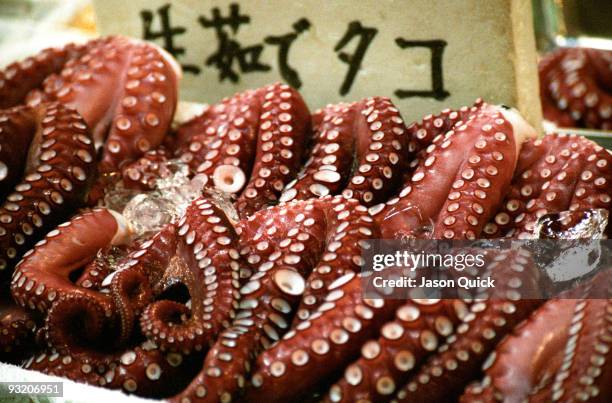 octopus, tsukiji fish market, tokyo - tsukiji fish market stock pictures, royalty-free photos & images