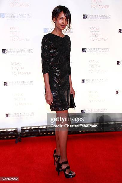 Model Liya Kebede attends the RFK Center Ripple of Hope Awards dinner at Pier Sixty at Chelsea Piers on November 18, 2009 in New York City.