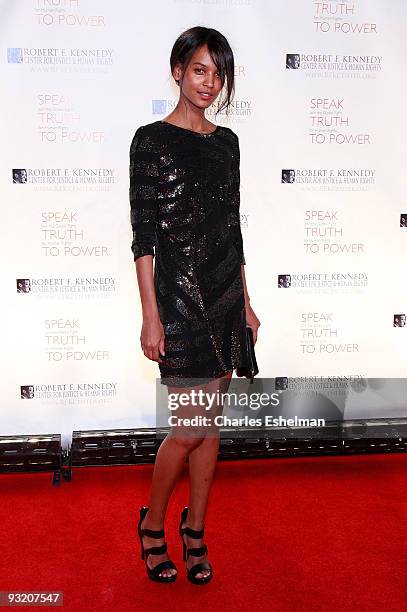 Model Liya Kebede attends the RFK Center Ripple of Hope Awards dinner at Pier Sixty at Chelsea Piers on November 18, 2009 in New York City.