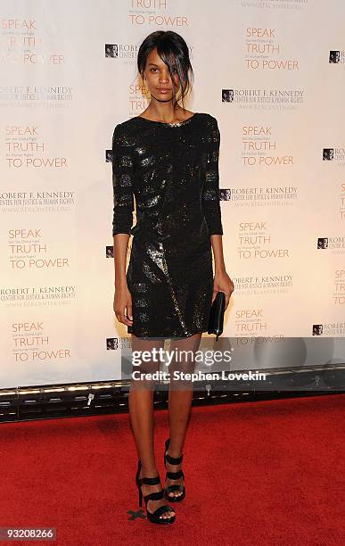 Model/actress Liya Kebede attends the RFK Center Ripple of Hope Awards dinner at Pier Sixty at Chelsea Piers on November 18, 2009 in New York City.