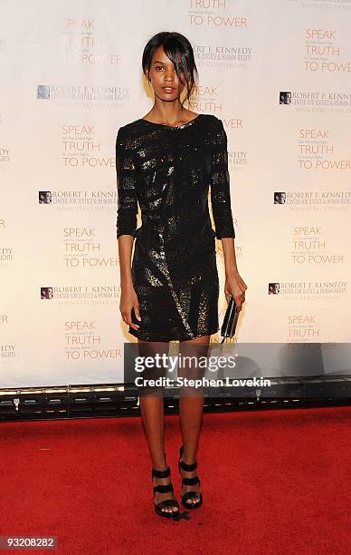 Model/actress Liya Kebede attends the RFK Center Ripple of Hope Awards dinner at Pier Sixty at Chelsea Piers on November 18, 2009 in New York City.