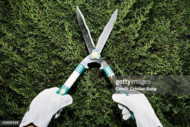 trimming  - clippers stockfoto's en -beelden