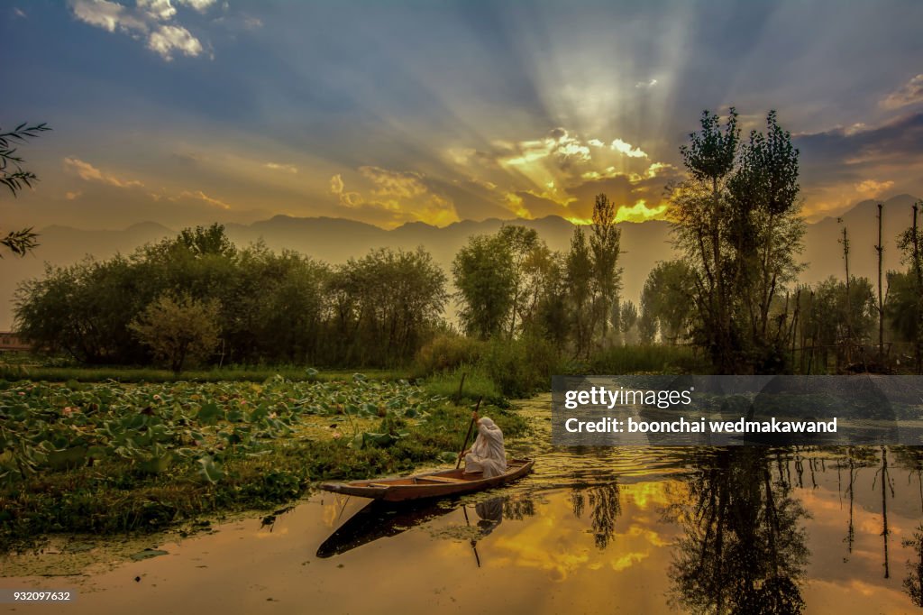 Sunrise view of a dal lake srinagar Jammu an Kashmir, india,