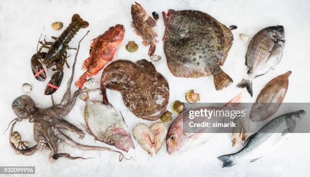 fish arrangement on ice - crushed ice stock pictures, royalty-free photos & images