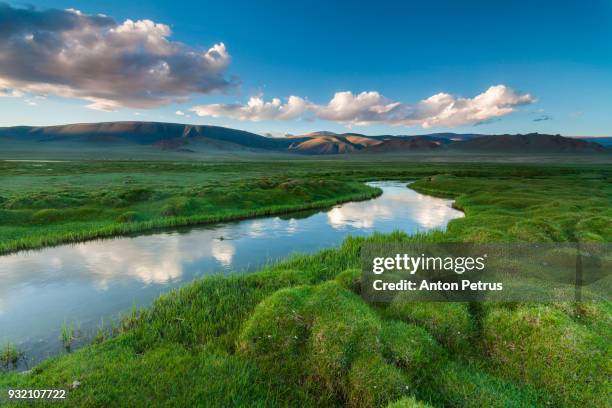 river in the mountains with green banks - meadow brook imagens e fotografias de stock