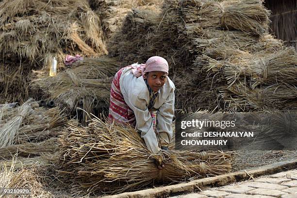 An Indian farmer bundles hay for fodder at a village in Kuntighat, some 50 kms north of Kolkata on November 17, 2009. The activity of processing and...