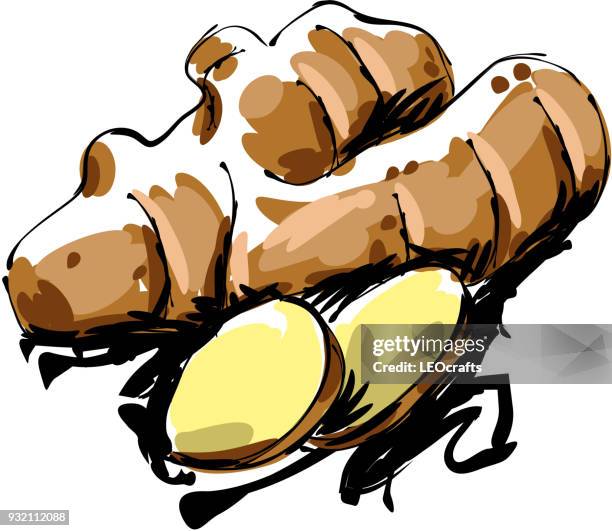 ginger drawing - ginger root stock illustrations