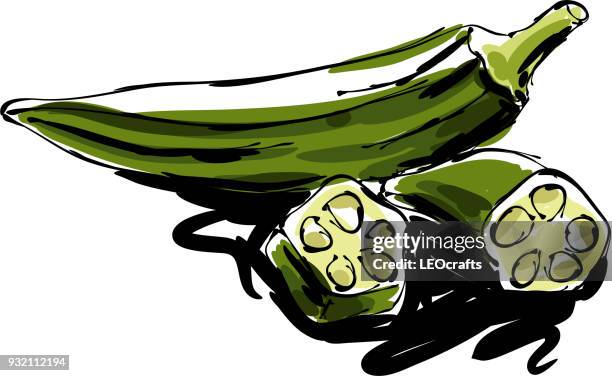 okra drawing - okra stock illustrations