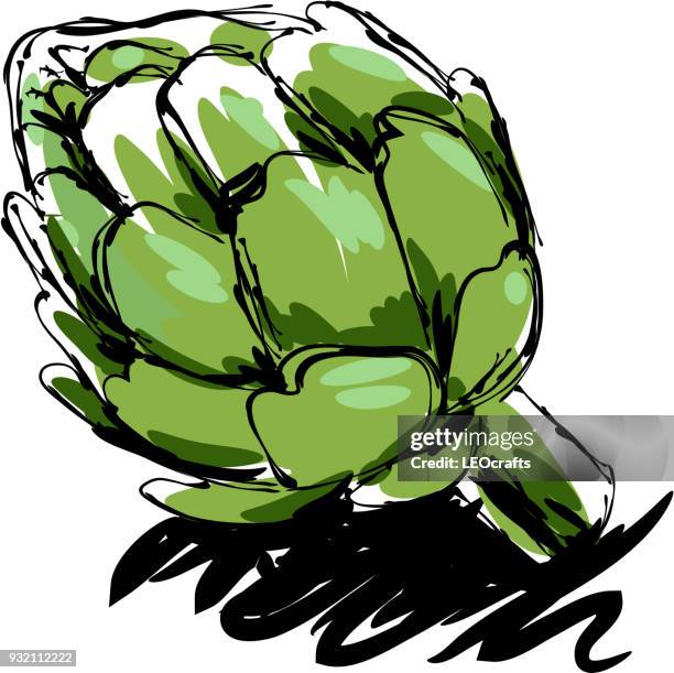 artichoke drawing - artichoke stock illustrations