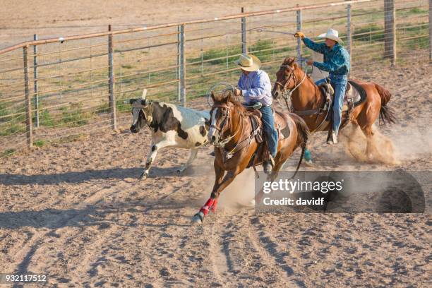1,120 Rodeo Team Roping Stock Photos, High-Res Pictures, and Images ...