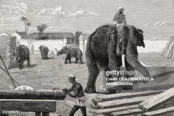 Elephants moving timber, Moulmein, Burma, illustration from The Graphic, volume XXVIII, no 714, August 4, 1883.