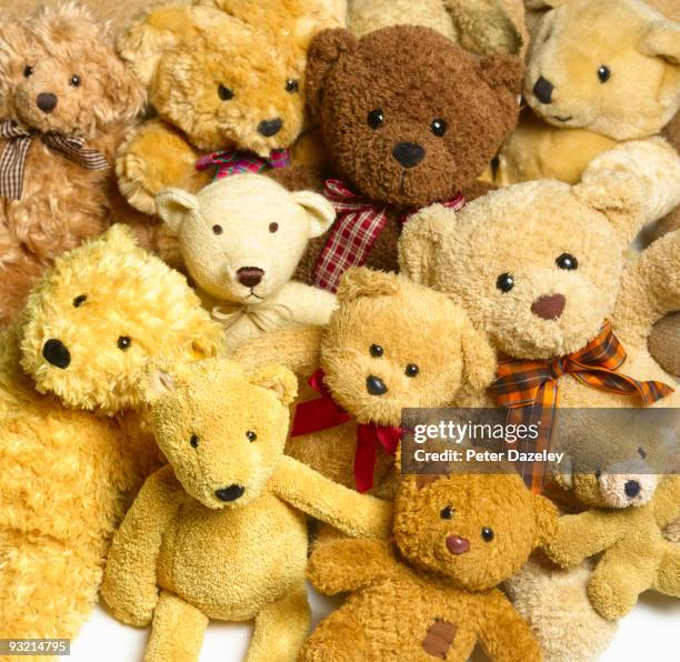 collection of teddy bears. - teddy bear fotografías e imágenes de stock