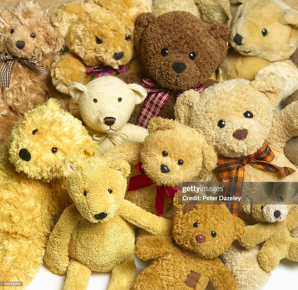 Collection of teddy bears.