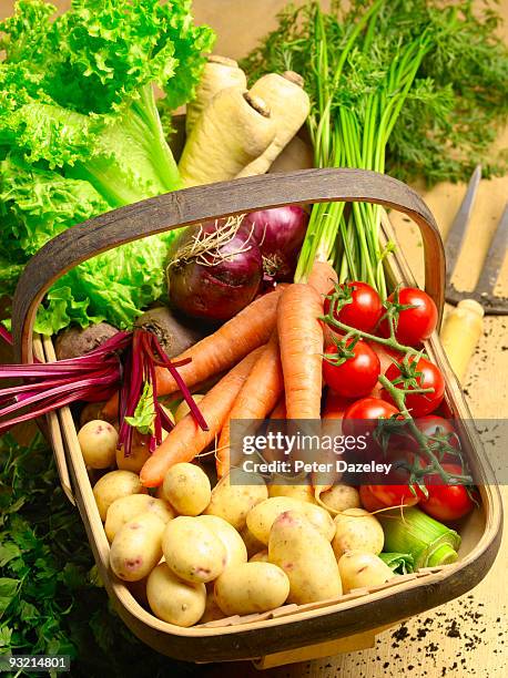 close up of organic fruit and vegetables in basket - trug stock pictures, royalty-free photos & images