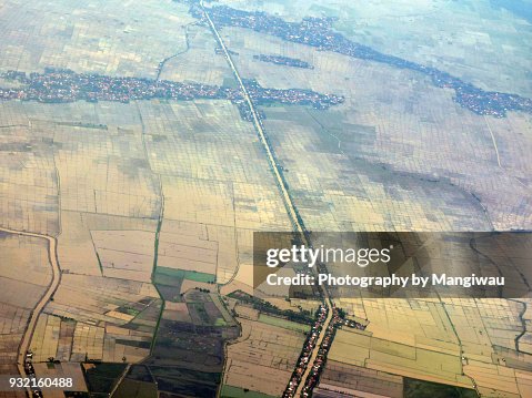 Java Rice Fields Java Rice Fields