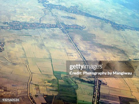 Java Rice Fields Java Rice Fields