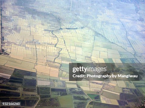 Java Rice Fields Java Rice Fields